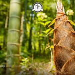 Pics Postingan 1200x675 px Ibadah Doa 01